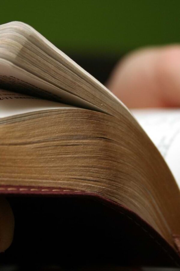 Close-up of an open Bible held by two hands on each side. By Mele Avery/stock.adobe.com