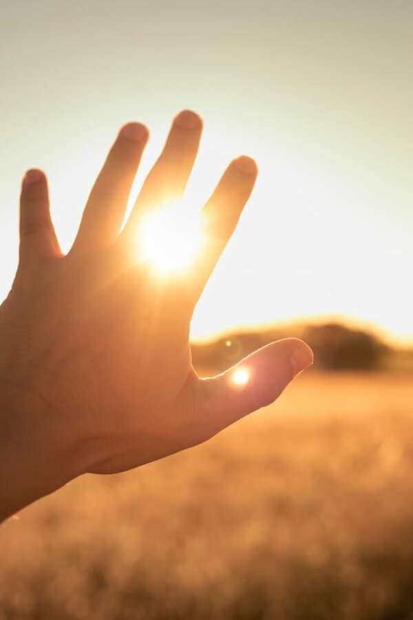 As the sun sets over a field, a hand reaches toward the sun, partially obscuring its rays. By kieferpix/stock.adobe.com.