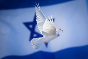 A white dove flies in front of an Israeli flag. By Marcio/stock.adobe.com. How can you pray for peace in the Middle East?