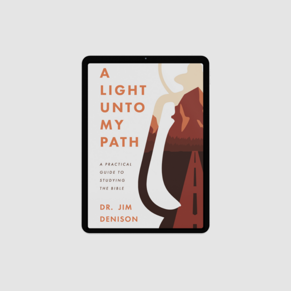 A Light Unto My Path (E-Book)