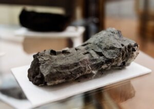 An ancient scroll, completely covered in blazing-hot volcanic material, is displayed at the Naples' National Library, Italy, Jan. 20, 2015. (AP Photo/Salvatore Laporta) The Vesuvius Challenge recently revealed that parts of a scroll have been deciphered.