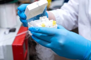 A scientist in blue gloves opens a box of frozen embryos. By viktoriya/stock.adobe.com