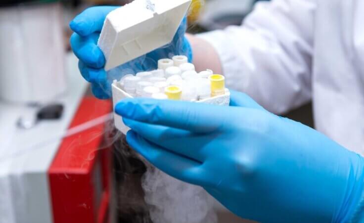 A scientist in blue gloves opens a box of frozen embryos. By viktoriya/stock.adobe.com