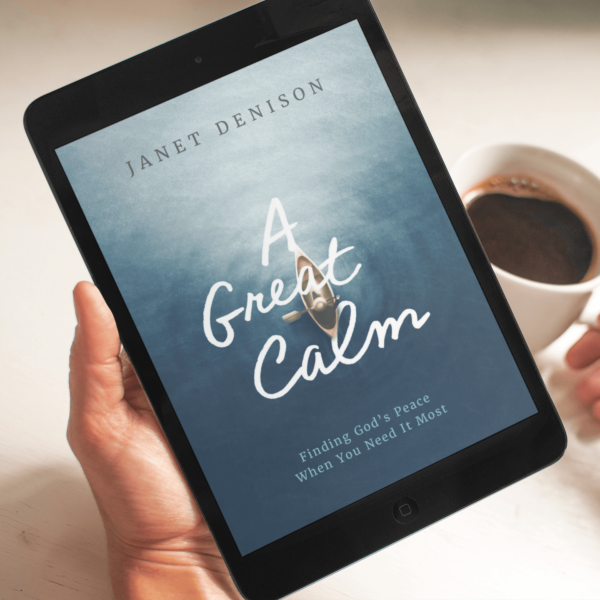 A Great Calm (E-Book) - Image 2