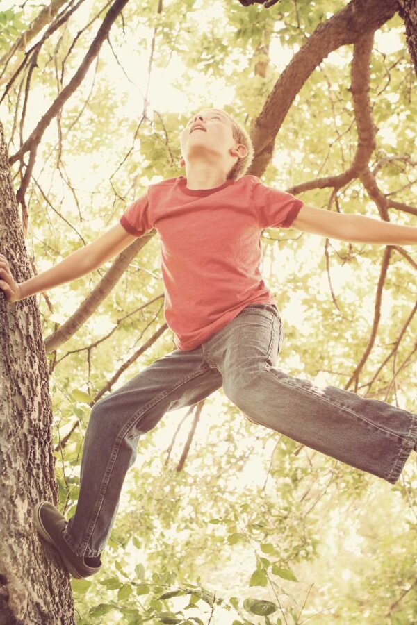 Boy climbing tree By soupstock/stock.adobe.com