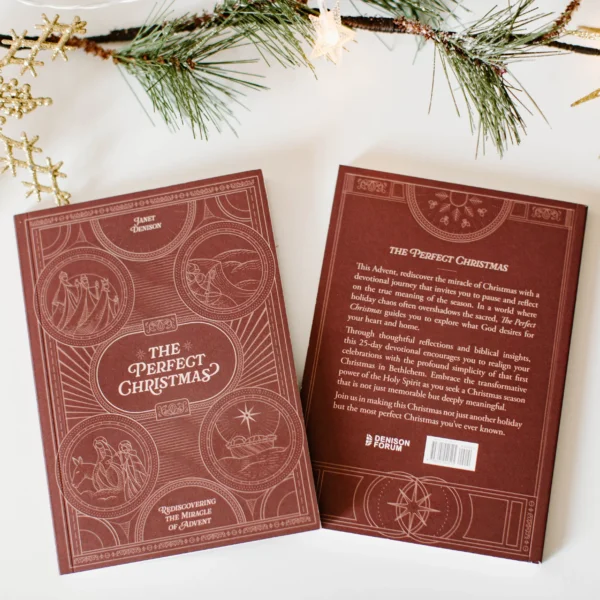 The Perfect Christmas Bundle - Image 2