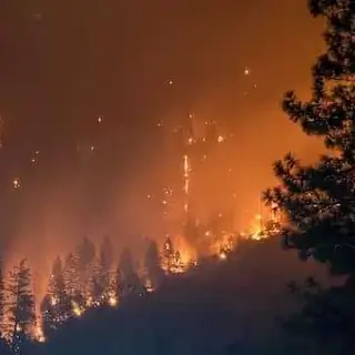 Trees on Fire
Klamath National Forest, Yreka, United States