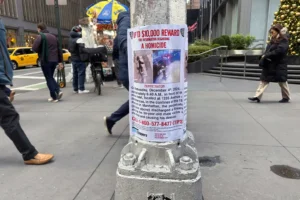 A reward poster hangs on a light pole outside the New York Hilton Midtown Hotel in New York on Thursday, December 5, 2024, where Brian Thompson, the CEO of UnitedHealthcare, was fatally shot on Wednesday. (AP Photo/Ted Shaffrey) Luigi Mangione