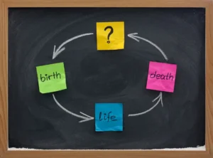 Life cycle or reincarnation concept on blackboard to illustrate the growing interest in reincarnation. By MarekPhotoDesign.com/stock.adobe.com