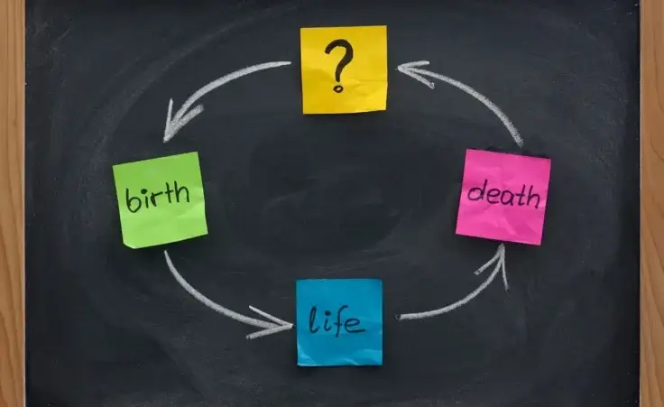 Life cycle or reincarnation concept on blackboard to illustrate the growing interest in reincarnation. By MarekPhotoDesign.com/stock.adobe.com
