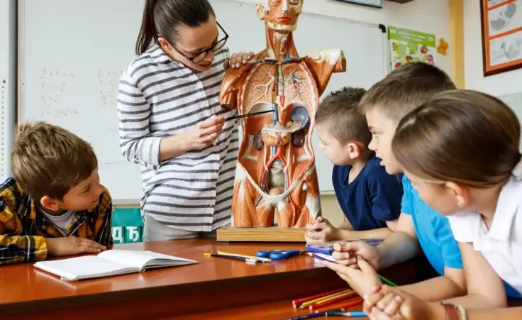 Biology teacher showing her students the anatomy of human body. By BalanceFormCreative/stock.adobe.com. Pro-Life Iowa