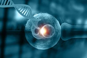 In vitro fertilization with DNA strand as a 3D illustration. By Rasi/stock.adobe.com. Three-parent embryo