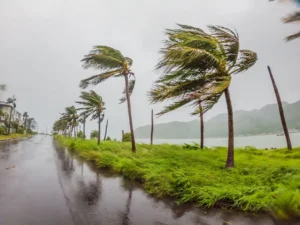 Tropical storm, heavy rain and high winds in tropical climates By galitskaya/stock.adobe.com