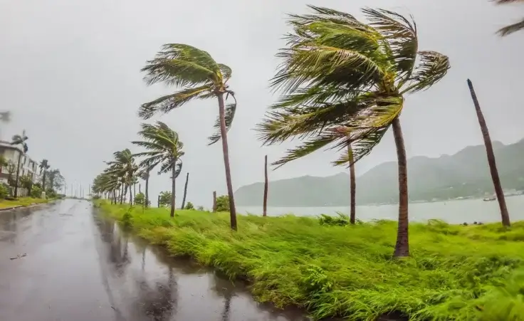 Tropical storm, heavy rain and high winds in tropical climates By galitskaya/stock.adobe.com