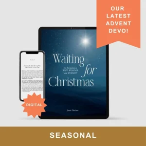 Waiting for Christmas (E-Book)