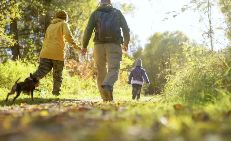 family walking in the forest By avtk/stock.adobe.com