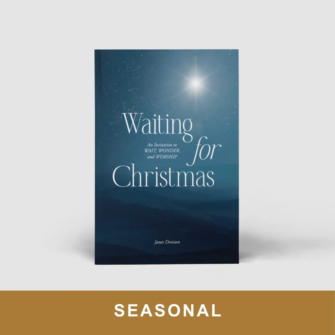 Waiting for Christmas (Paperback)