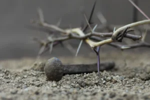A crown of thorns and nails, symbols of the Christian crucifixion in the Easter story. By GabrielaBertolini/stock.adobe.com. Pastor William Schonemann of New River Bible Chapel in Arizona was found dead inside his home in a position authorities described as resembling crucifixion.